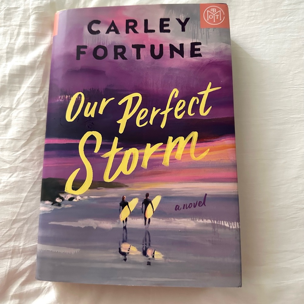 Our Perfect Storm by Carley Fortune